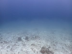 ラチャノイ島 サーモクライン