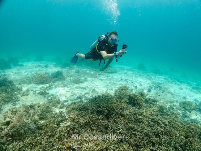プーケットでダイビング　サンゴ礁の写真を撮るダイバー