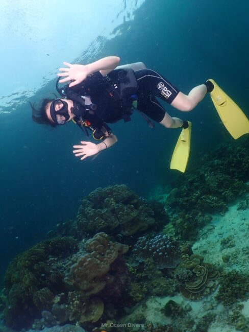 海の中でサンゴを背景に黄色のフィンを履いたダイバーがこちらを見ています