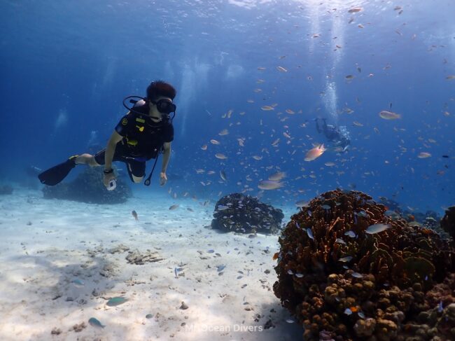 海の中に1人の男性がサンゴの周りにたくさんいる小魚を見ています。