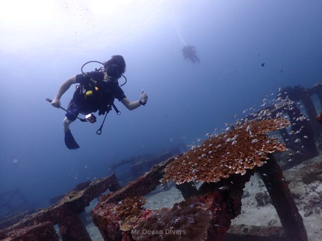 海の中でポーズを決める1人のダイバーとサンゴ礁、魚礁が見えます