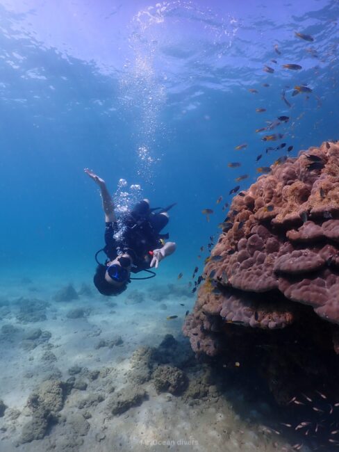 サンゴの周りに小魚と1人のダイバーが逆立ちしてポーズをしています