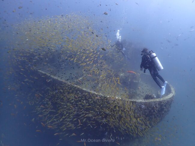 沈船周りに黄色の魚が群れいて2人のダイバーが見えます