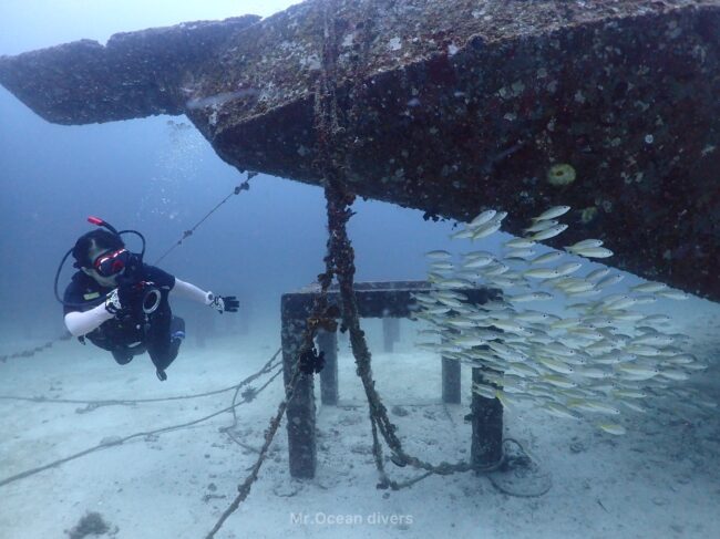 海の中に沈んでいる沈船の周りに魚の群れと一人のダイバーが泳いでいるのが見えます