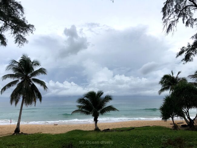 椰子の木の隙間から海が見えその向こう側に雨雲があります