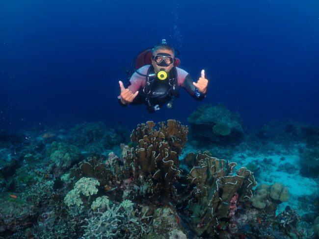 1人のダイバーが両手でポーズしながら浮いているのが見えます