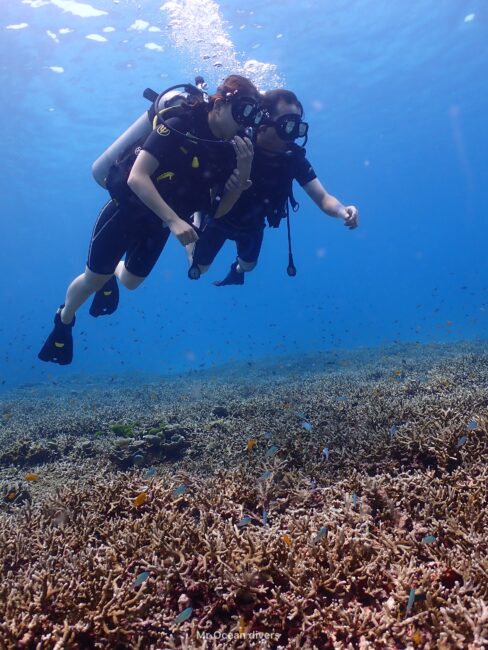 サンゴの上を泳ぐ2人の体験ダイバーが見えます
