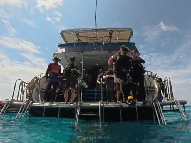 船から海へとジャンプする1人とダイバーとそれを見る人が数人見えます。
