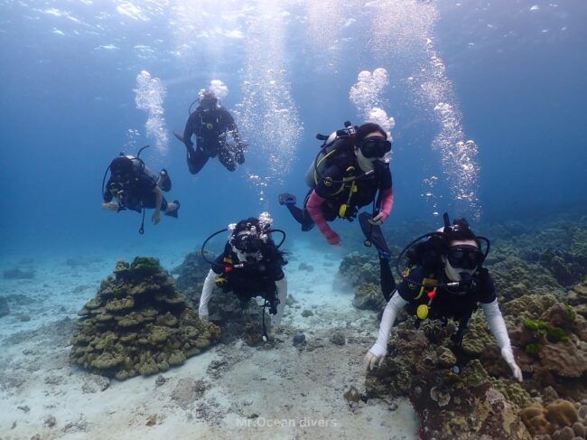 珊瑚が見える海中を5人のダイバーが泳いでいるのが見えます