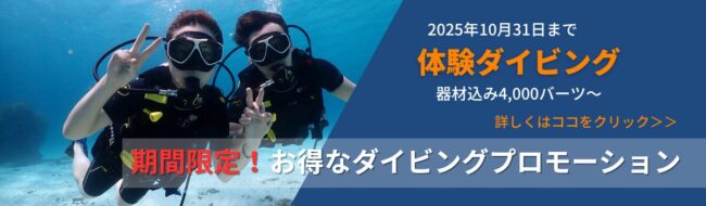 体験ダイビングプロモーションバナー