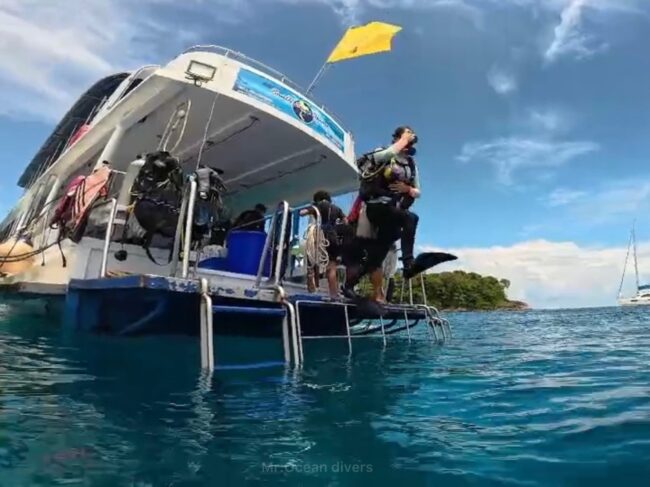 青空の下、白い船から海に向かってジャンプする1人のダイバーが見えます