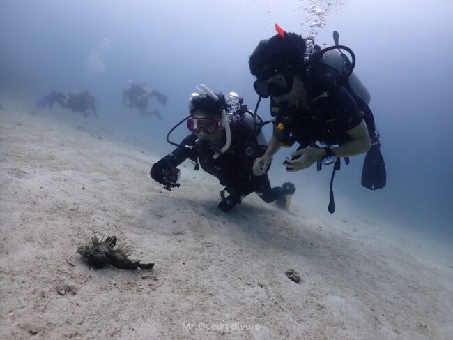 砂地にいるカサゴを撮影する1人のダイバーと魚を見るもう1人のダイバーが見えます