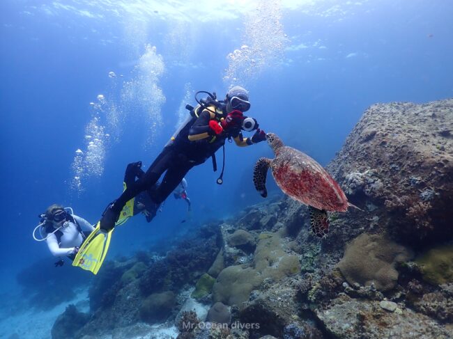 1人のダイバーがウミガメの間近で写真を撮っています。