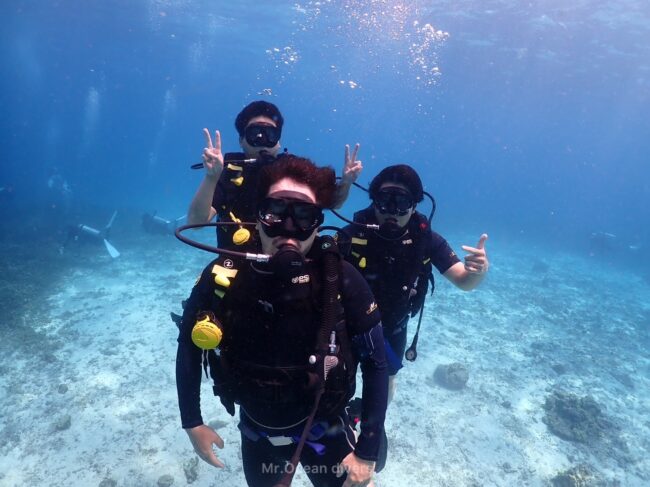 海の中に3人のダイバーが見えます
