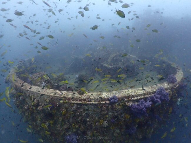 沈船の周りにたくさんにお魚が群れているのが見えます