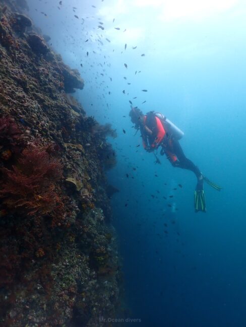 切り立った壁を見えている1人のダイバーがいます