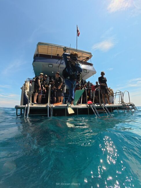 ダイビング船の後ろから海へエントリーする1人のダイバーが見えます