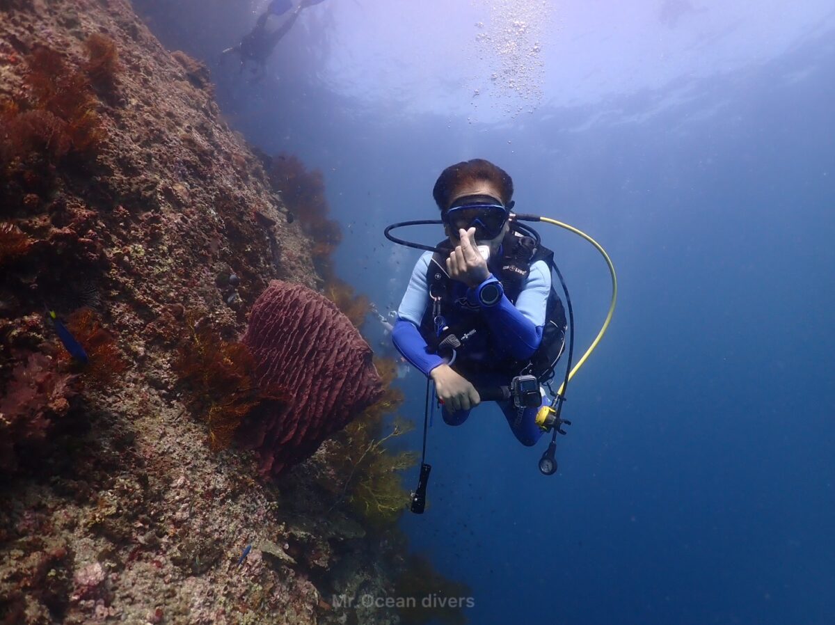 プーケットファンダイビング