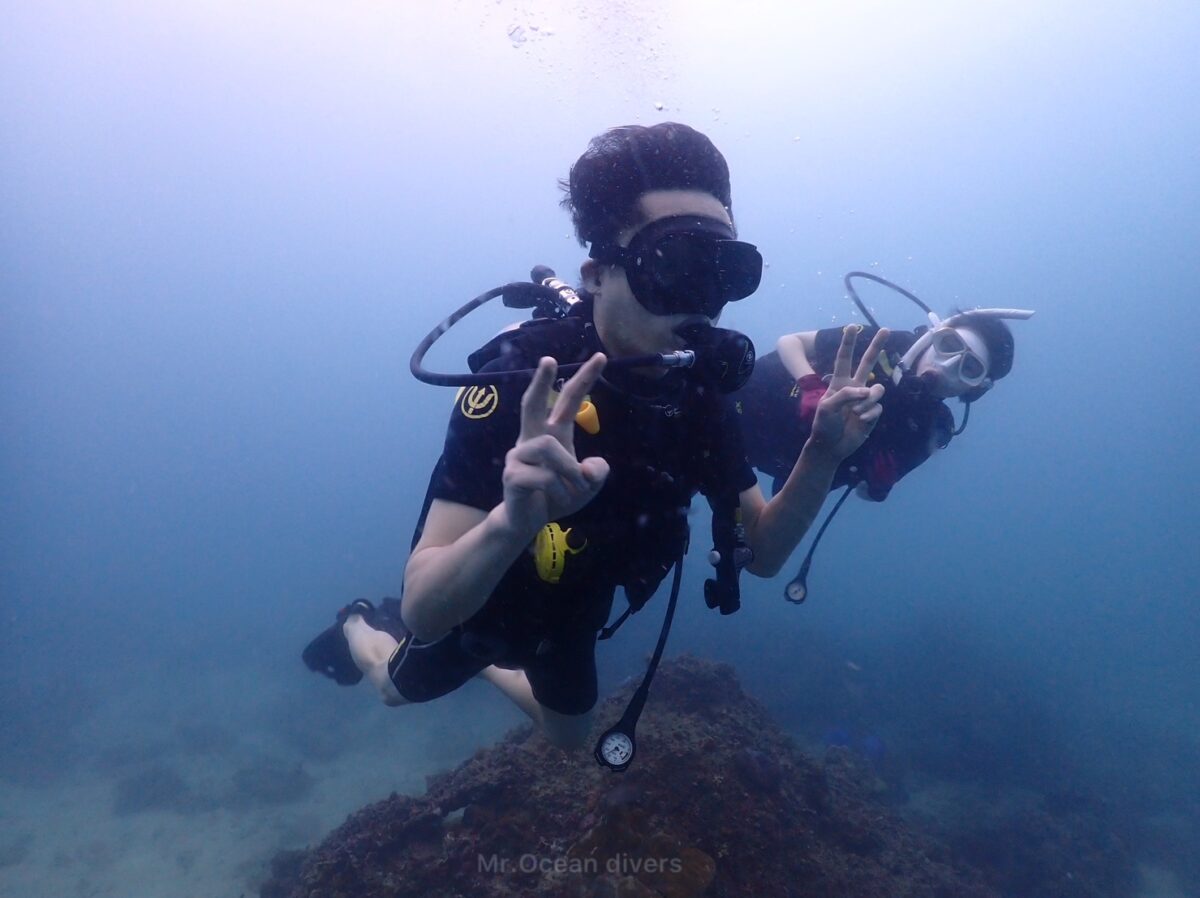 ピピ島ダイビング