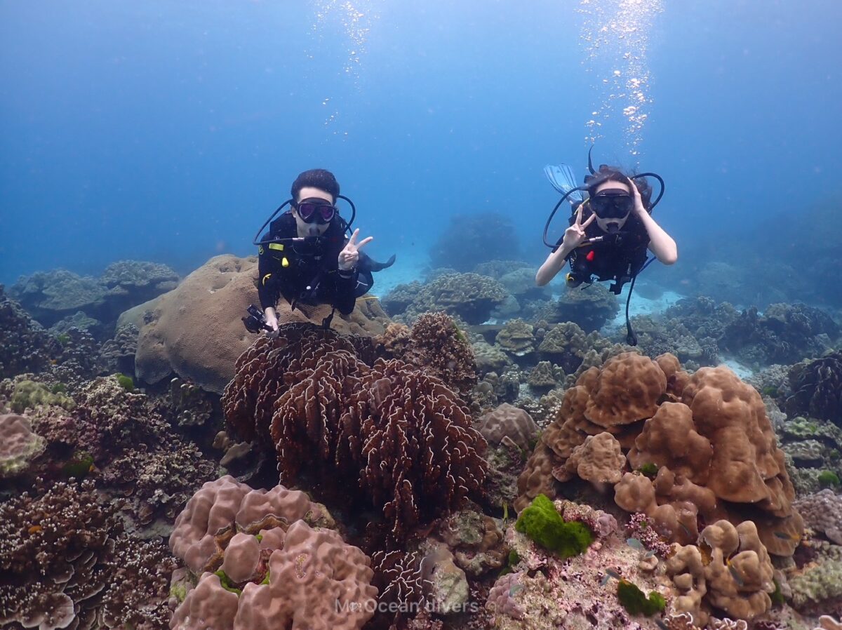 ラチャノイ島体験ダイビング