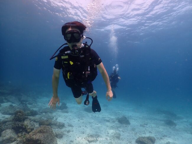 海の中を泳ぐ2人のダイバーが見えます