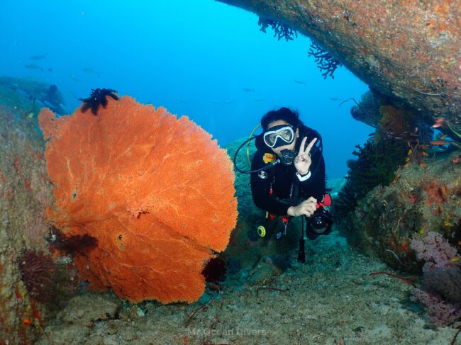 プーケットの海でダイバーと大きなウミウチワ|透明度の高い2月のダイビング