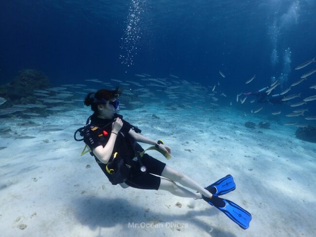 3月のプーケットでのダイビング風景|透明度の高い海で魚の群れと泳ぐダイバー