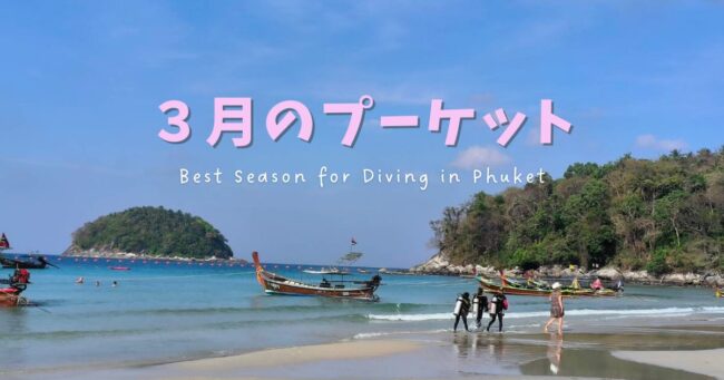 3月のプーケットでダイビングを楽しむダイバーと穏やかな海の風景