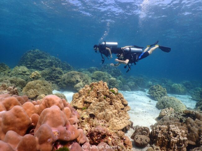 4月のプーケットでダイビングするダイバーの様子 穏やかな海の中