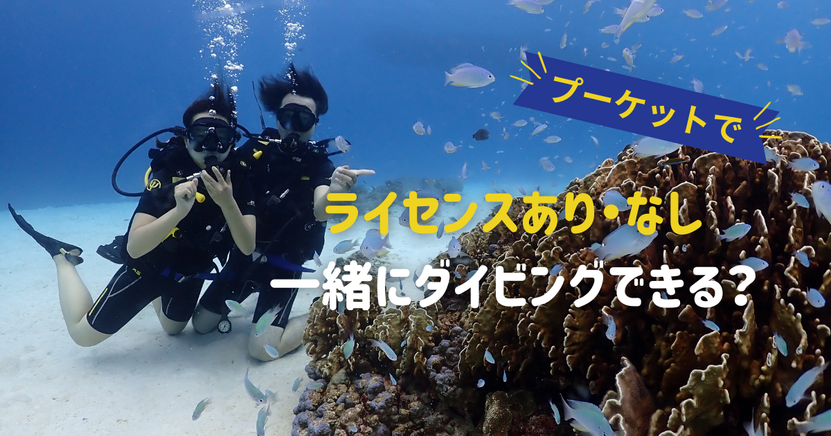 プーケットでライセンスがある人とない人は一緒にダイビングできる?