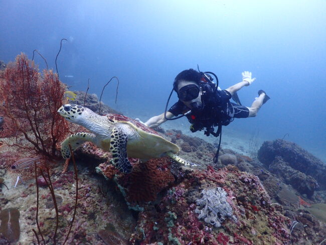 プーケットの海でウミガメと一緒に泳ぐスキューバダイバー